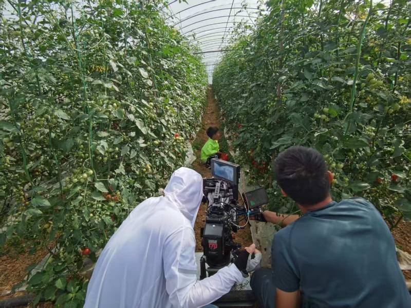 淮安产品宣传视频拍摄公司进阶指南，助力品牌抢占传播高地